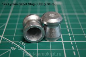 12. Lyman Sabot Slug (  ) 30 10 